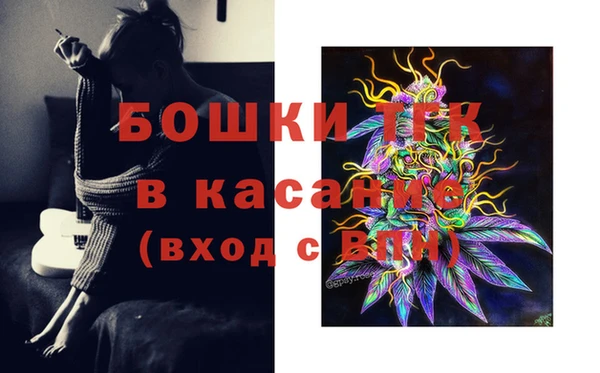 сатива Верхнеуральск