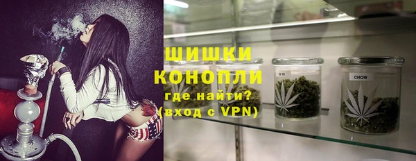 ПСИЛОЦИБИНОВЫЕ ГРИБЫ Верхний Тагил
