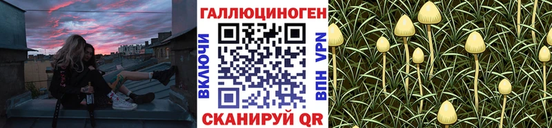 Купить закладки  Мариинский Посад  Галлюциногенные грибы прущие грибы 